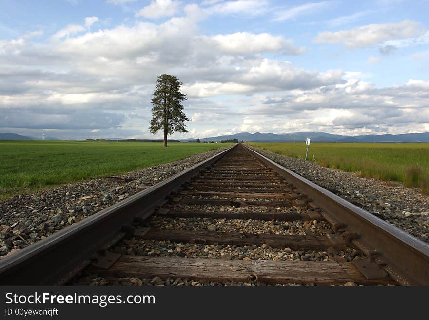 Tracks Through The Farm Field.