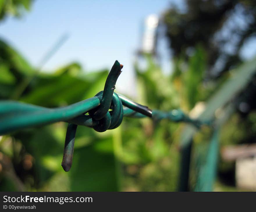 Close up for a barbed wire