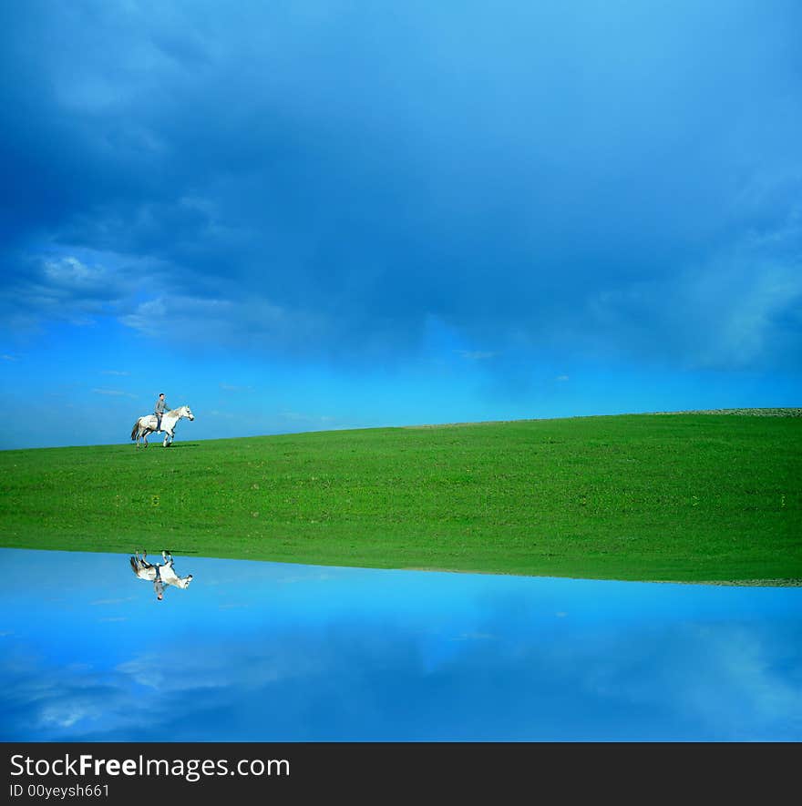 A rider on white horse in the green field