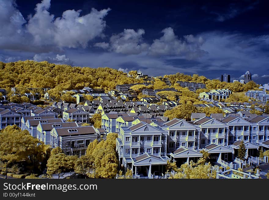 Modern house and yellow tree in the city