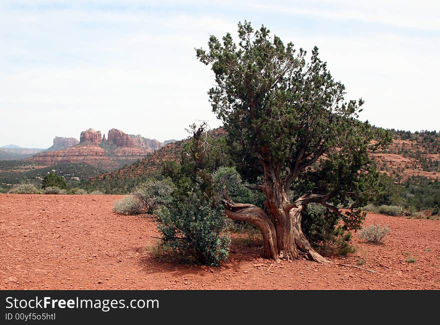 Sedona scenic desert view