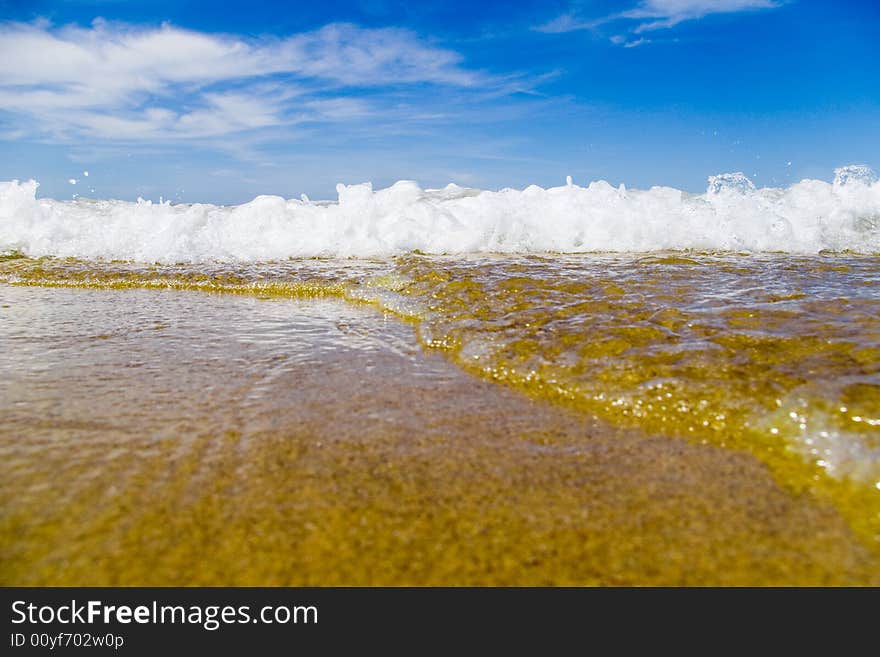 Salad sea foam, in the atlantic ocean. Salad sea foam, in the atlantic ocean