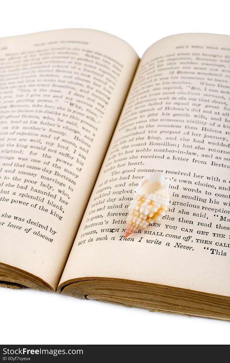 Colorful seashell on the old openning book. Colorful seashell on the old openning book.