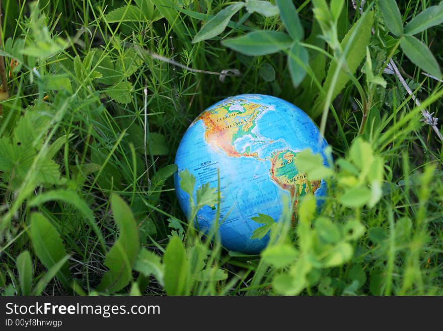 Blue planet in a green grass. Blue planet in a green grass