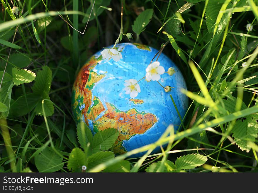 The globe in a grass