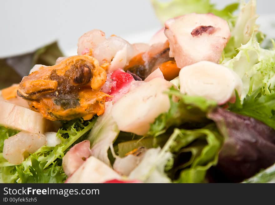 Fresh sea salad with parsley isolated on white close-up. Fresh sea salad with parsley isolated on white close-up