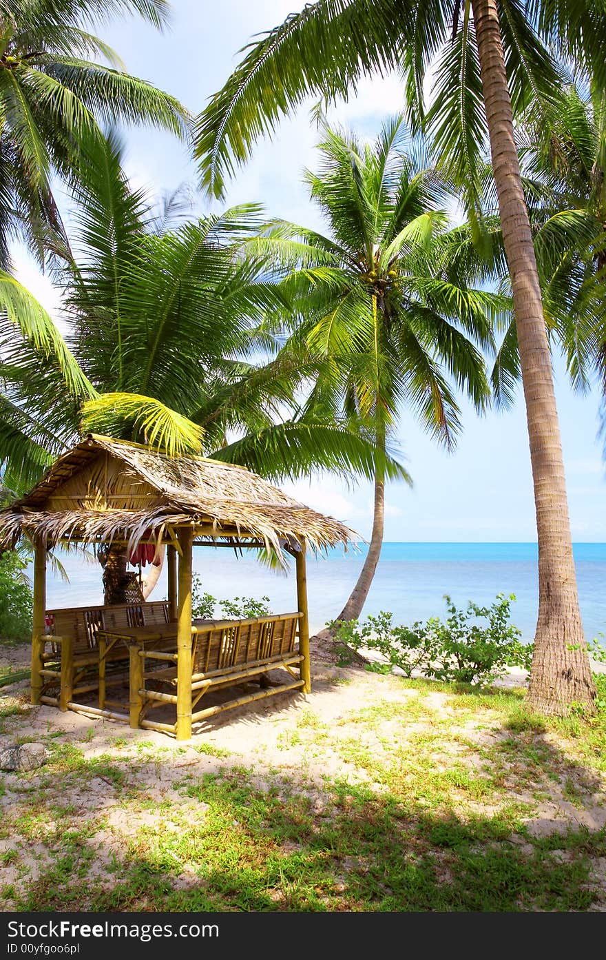 View of nice tropical empty sandy beach with some palm. View of nice tropical empty sandy beach with some palm