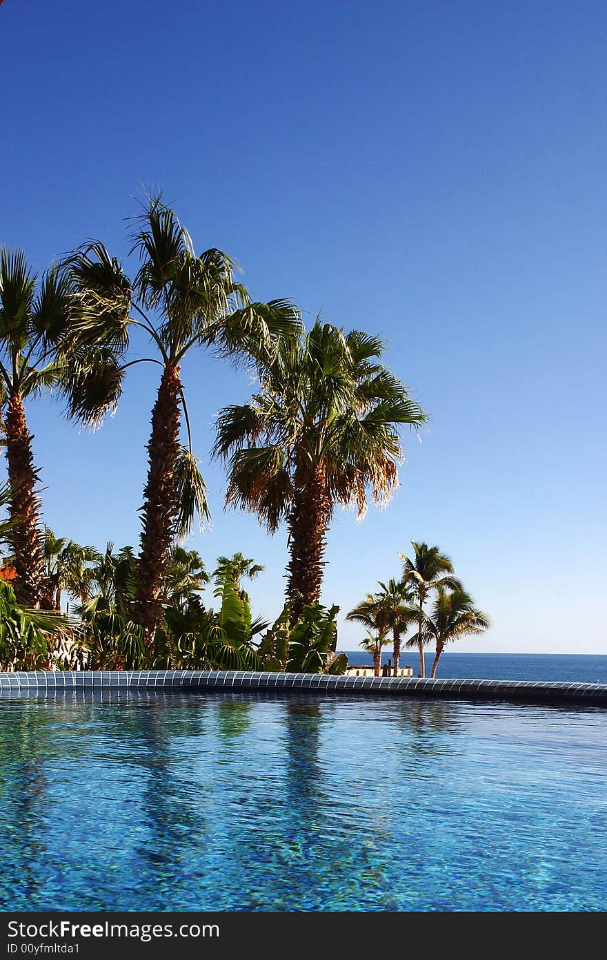 Pool in Los Cabos, Baja California Sur, Mexico. Pool in Los Cabos, Baja California Sur, Mexico