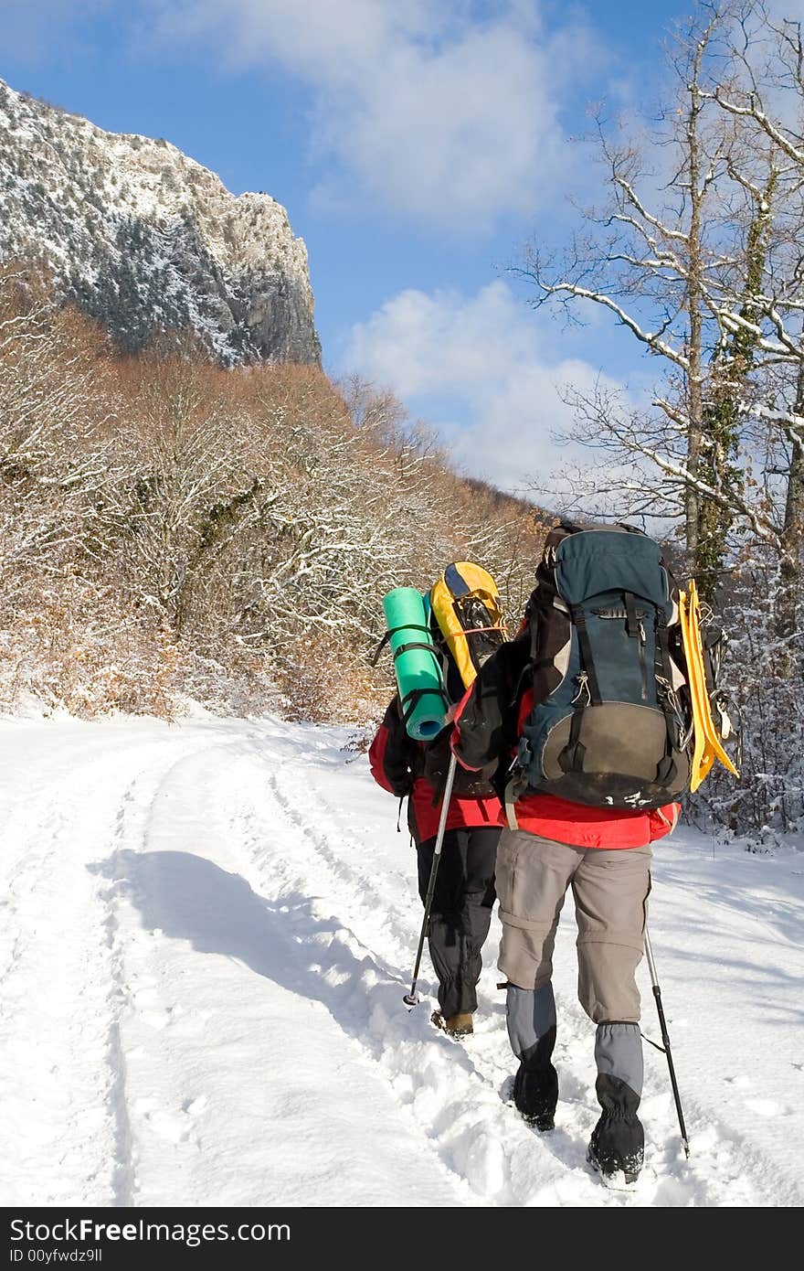 Hikers are in winter in mountains. Hikers are in winter in mountains