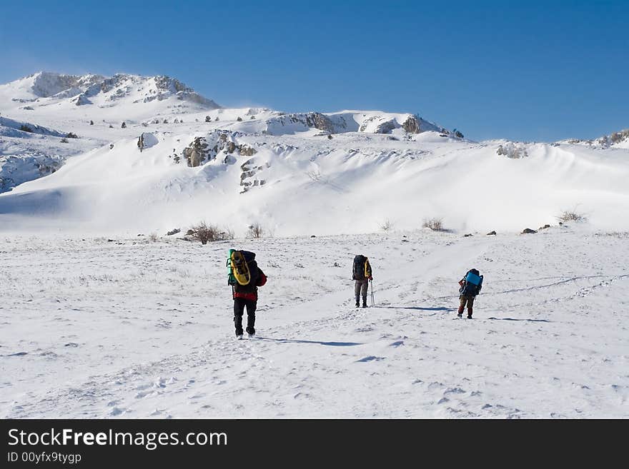 Hikers are in winter in mountains. Hikers are in winter in mountains