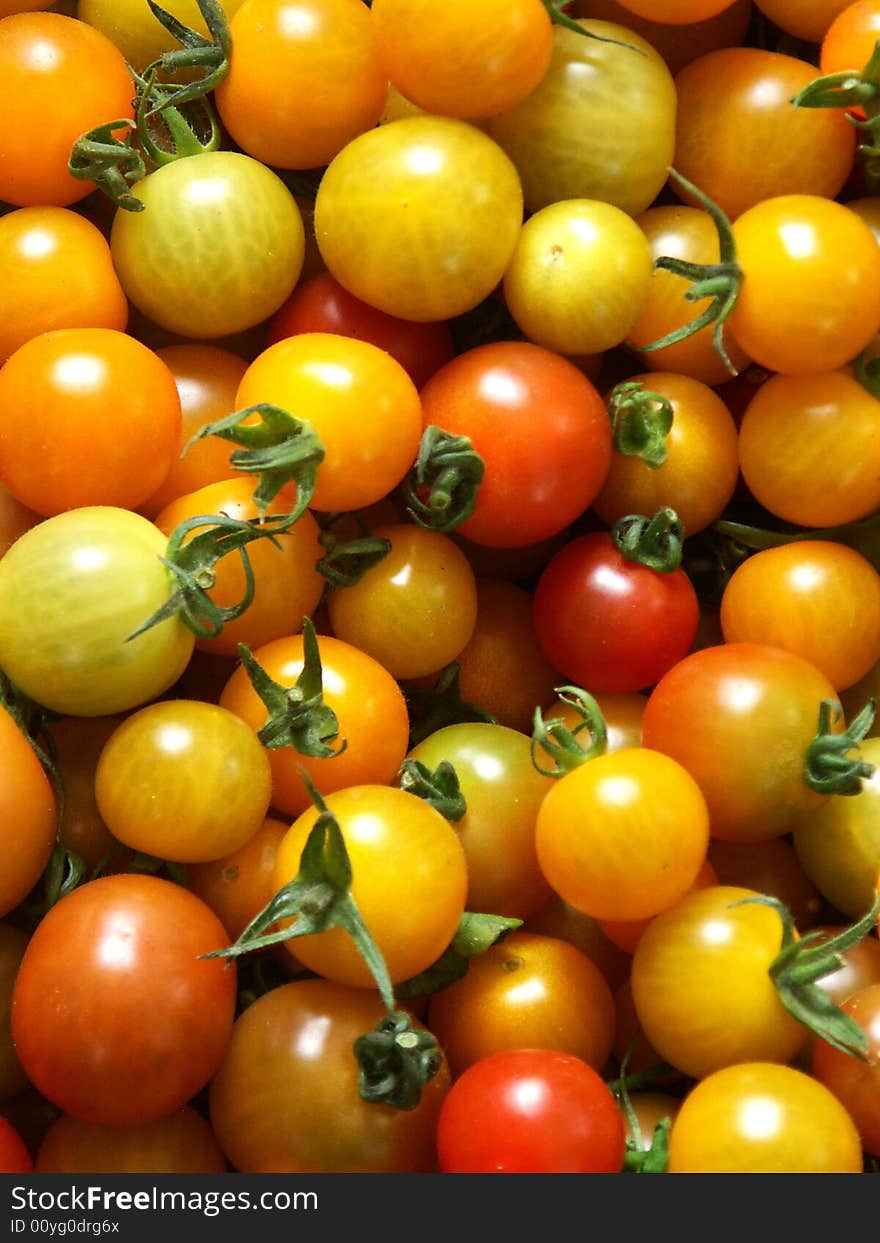 Baby tomatoes in a garden. Baby tomatoes in a garden.