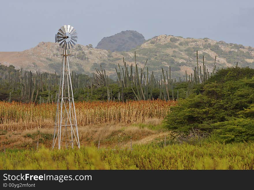 Windmill In Desert