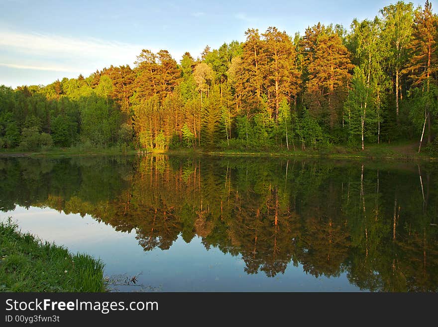 Lake in the forest in evening sun light