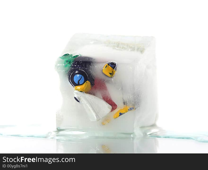 Frozen penguin with a cold in a block of ice