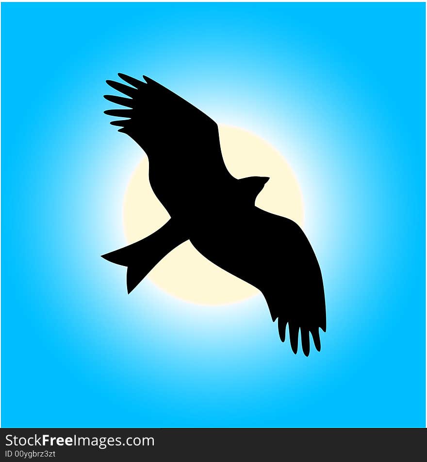 Stilized illustration of eagle for emblem. Stilized illustration of eagle for emblem