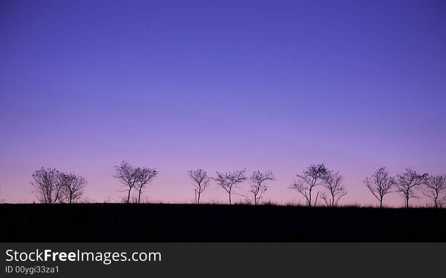 Trees on the horison with sunset in blue sky and dark foreground. Trees on the horison with sunset in blue sky and dark foreground