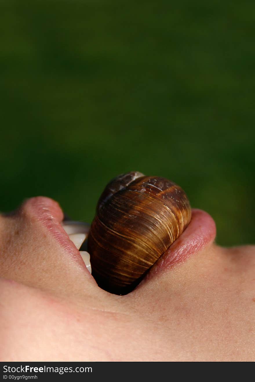 Girl eating a shell close-up