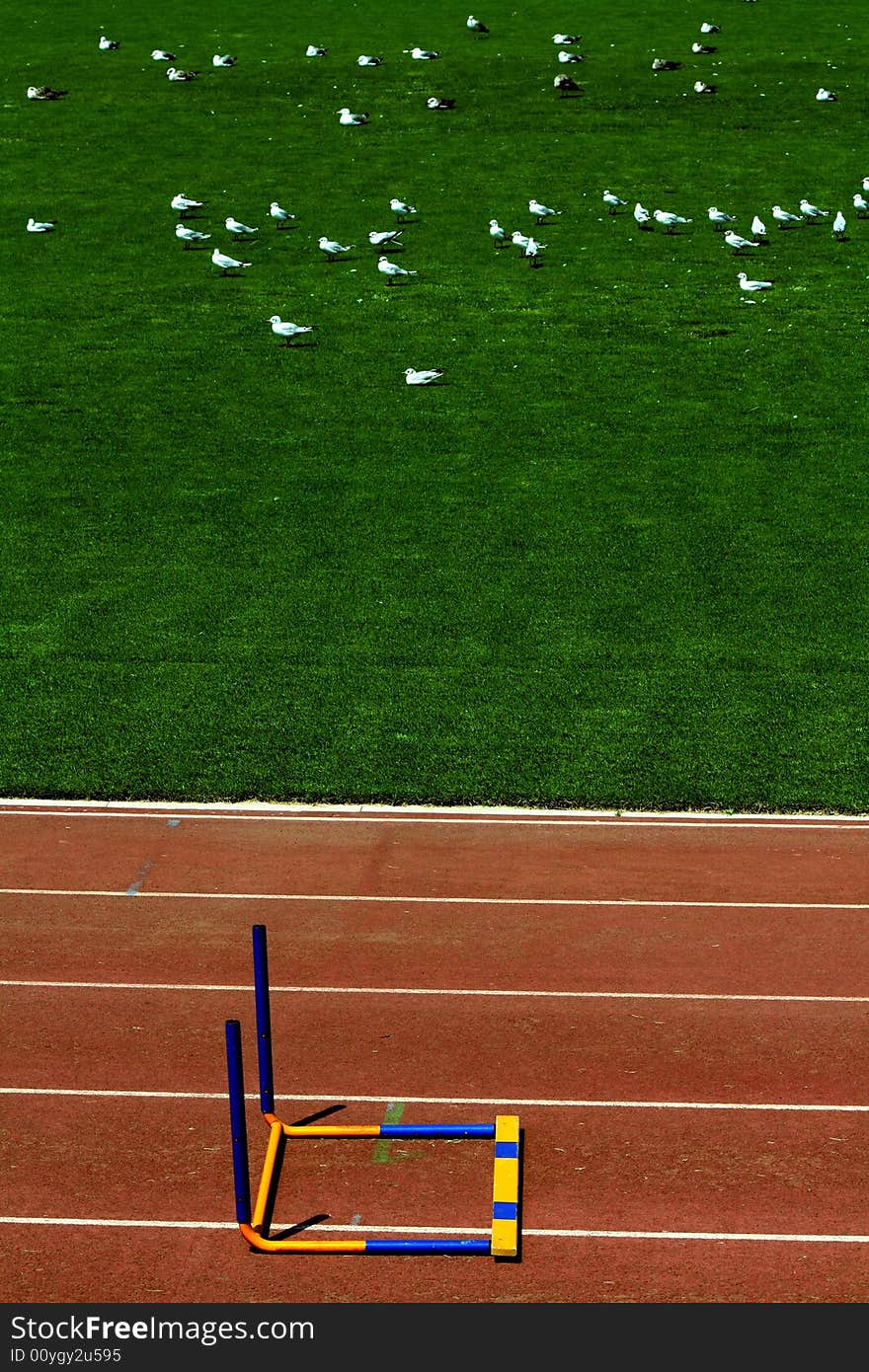 Image of a fallen hurdle, symbol of a finished race. Image of a fallen hurdle, symbol of a finished race