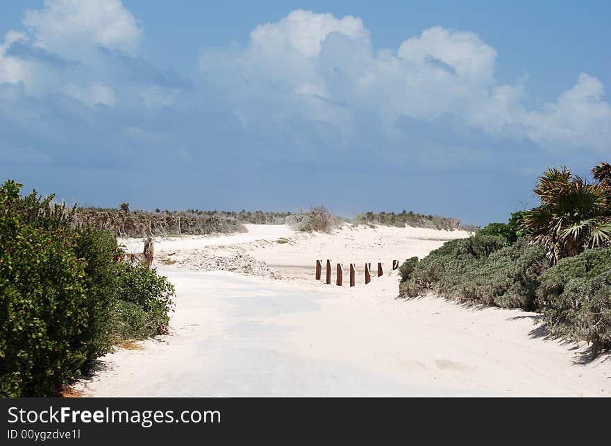 The road in Punta Sur Ecological Park on Cozumel island, Mexico. The road in Punta Sur Ecological Park on Cozumel island, Mexico.