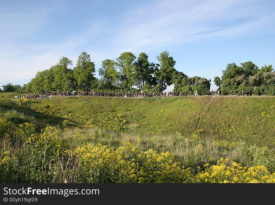 Blossoming Hills In Estonia