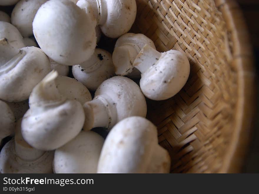 Mushrooms in Basket