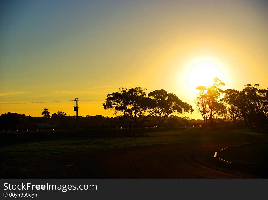 Rural Eucalypt Sunset