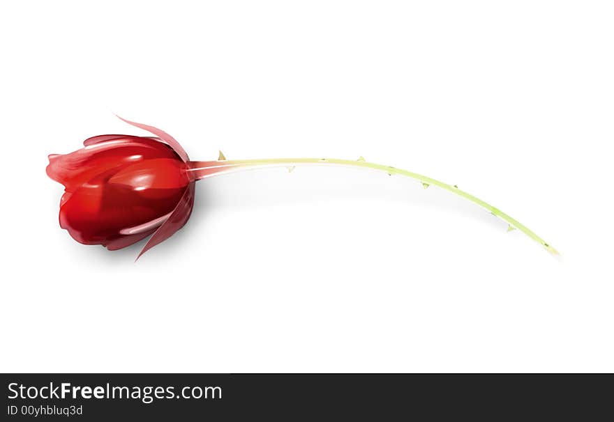 Glass rose isolated on white floor.