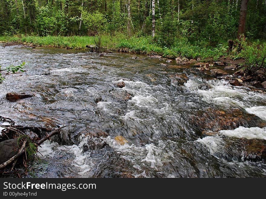 River in the mountains, forest