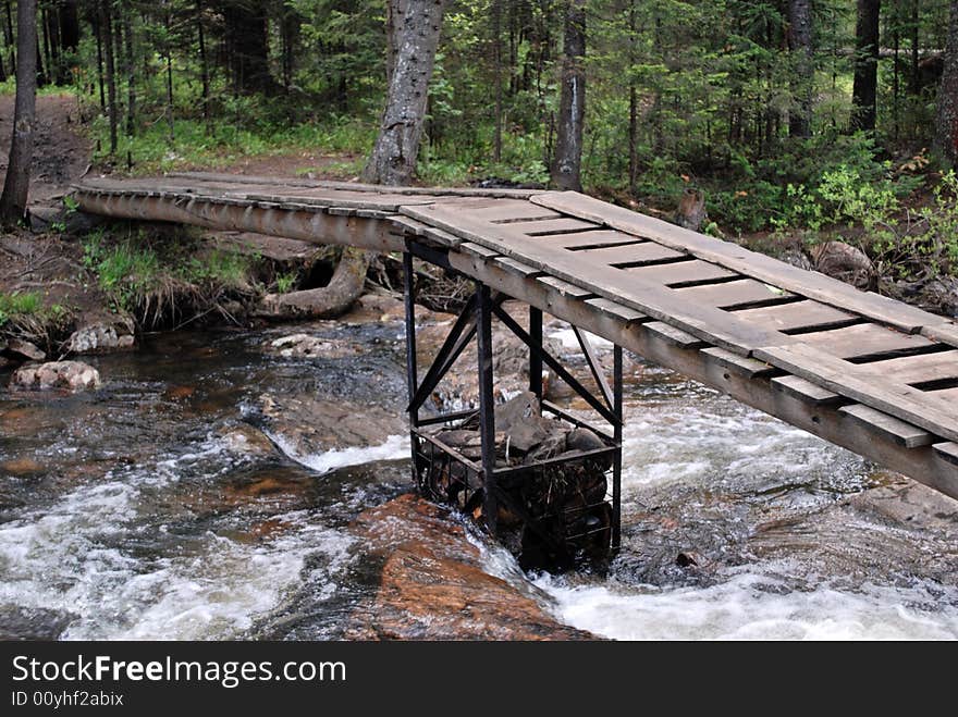 Bridge in the forest