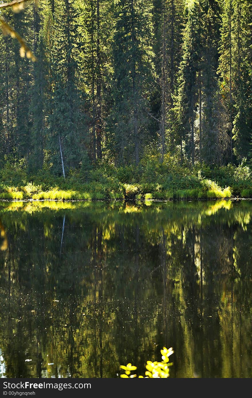 The silent mountain lake surrounded by fur-trees and bushes in the autumn. The silent mountain lake surrounded by fur-trees and bushes in the autumn