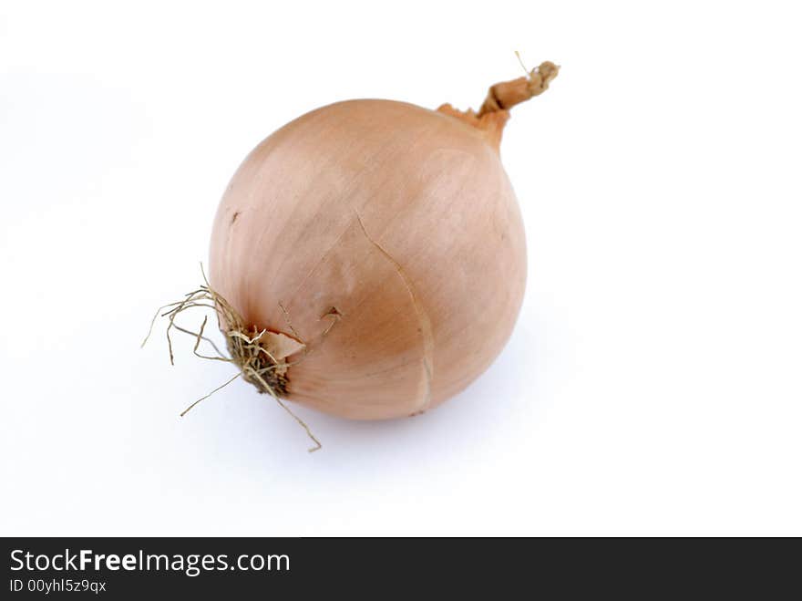 An onion on white background