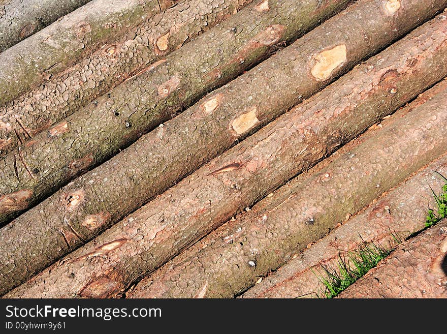 Row of log wood with bark