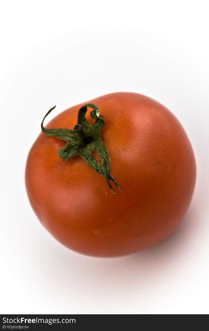 One red tomato close-up in studio