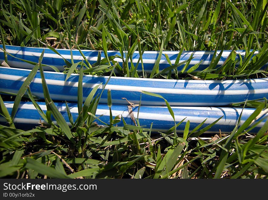 Green and blue - grass background