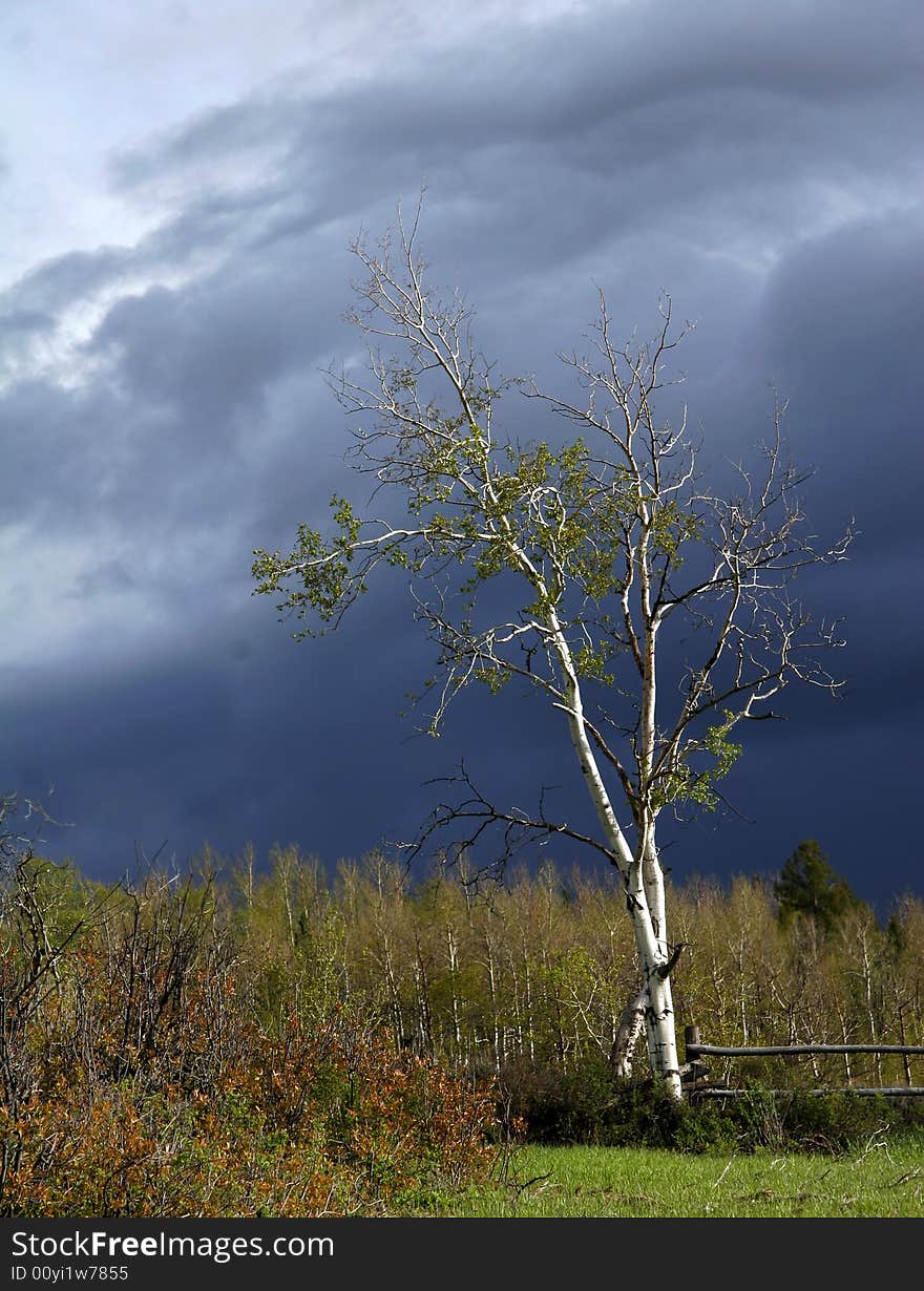 Approaching Storm Clouds