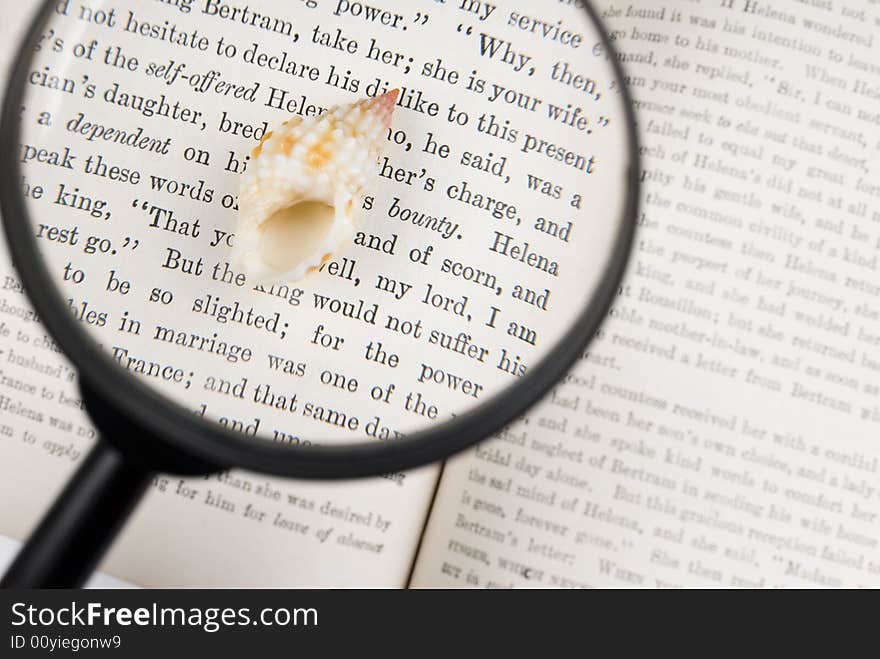 Seashell, magnifier, and old book on the white background. Seashell, magnifier, and old book on the white background.