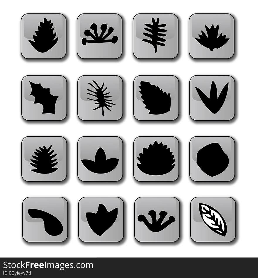 A selection of scalable vector glossy icons representing different types of leaves from a tree. Fully scalable vector illustration. . A selection of scalable vector glossy icons representing different types of leaves from a tree. Fully scalable vector illustration.