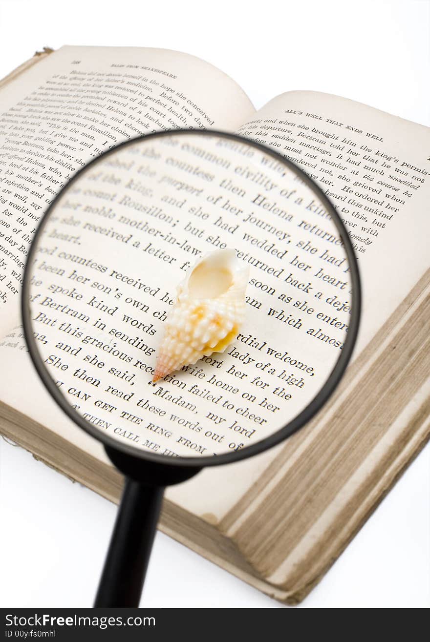 Seashells, magnifier, and old book on the white background. Seashells, magnifier, and old book on the white background.