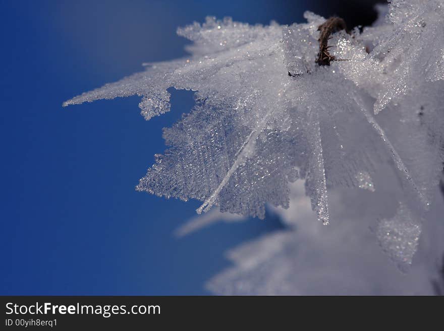 Wonderful weather phenomenon: at macro ice crystal looks like leaves. Wonderful weather phenomenon: at macro ice crystal looks like leaves