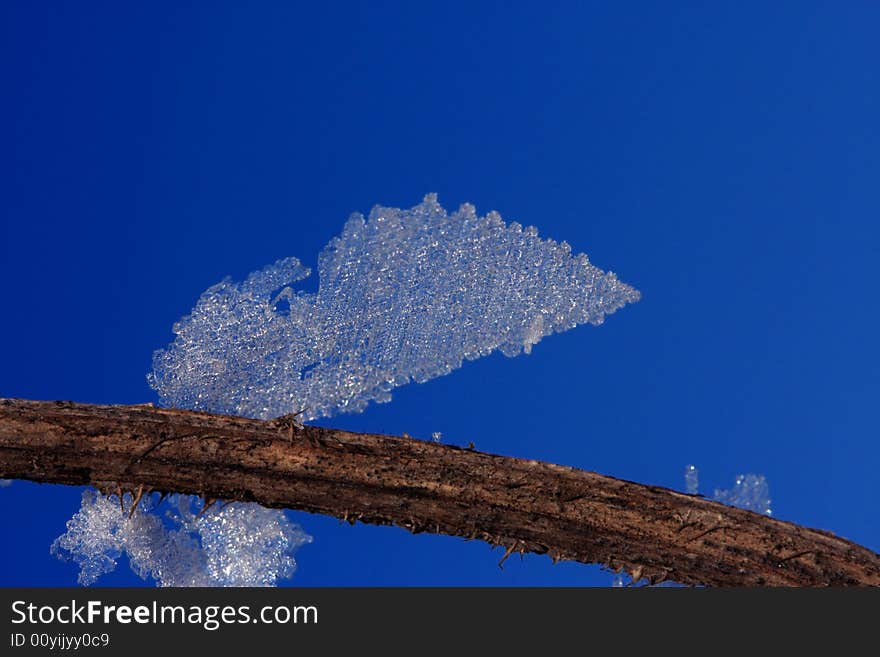 Ice crystal looks like angel's wing. Ice crystal looks like angel's wing