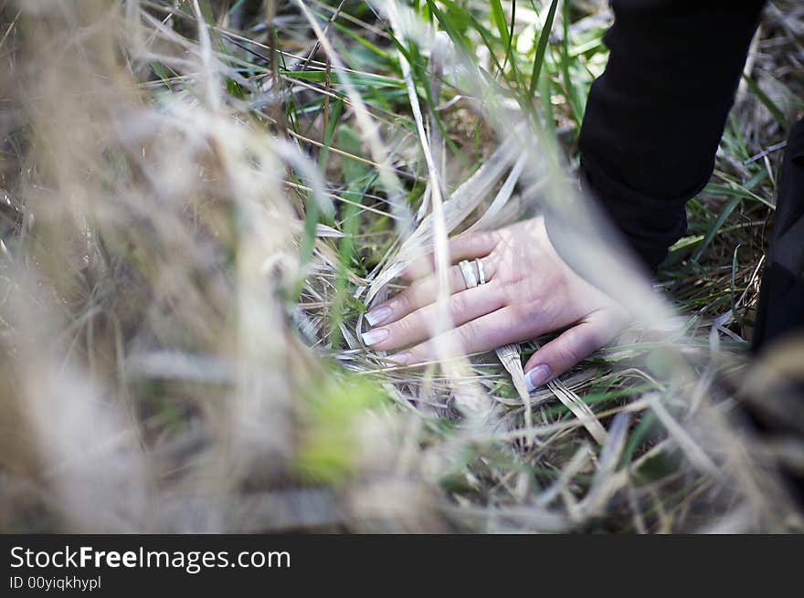 Girl hand touching grass in summer evening.