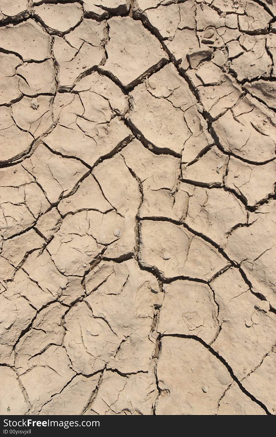 Background of a dry Dirt without a grass without water. Background of a dry Dirt without a grass without water