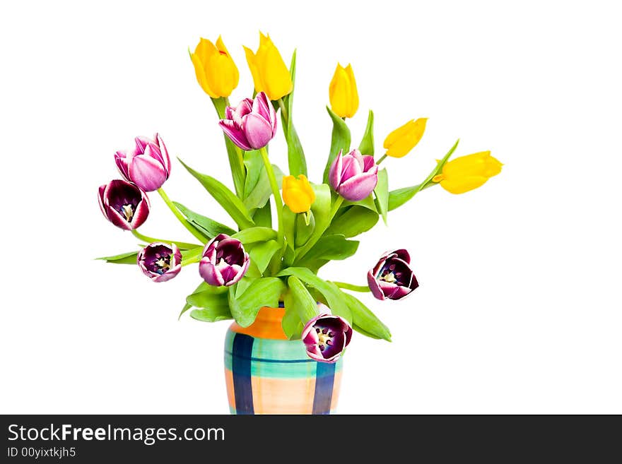 Tulips in the coloured vase