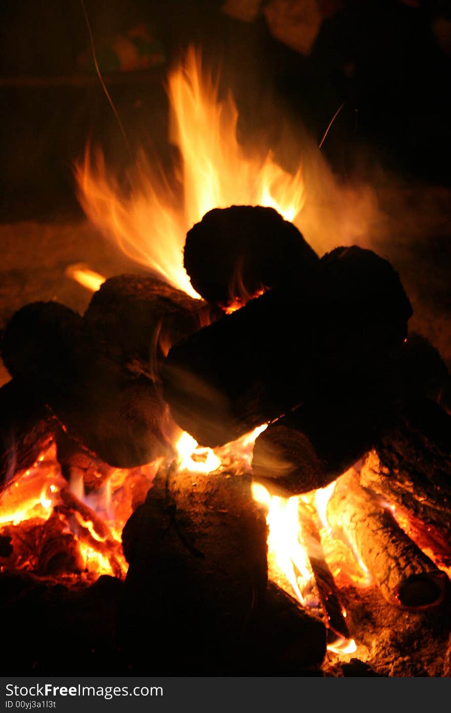 Burning wood in the bonfire