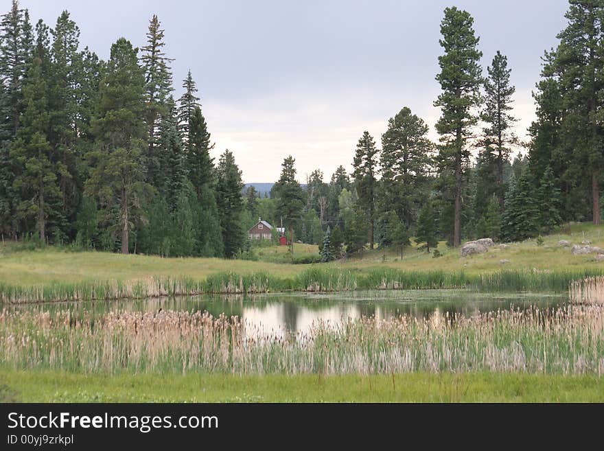 Lake Of Relaxation