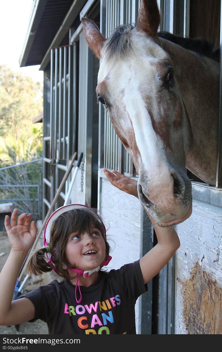 Girl playing with a horse. Girl playing with a horse.