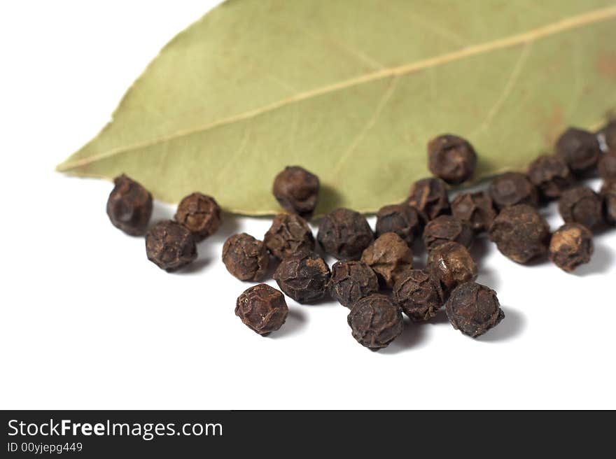 Spices on a white background