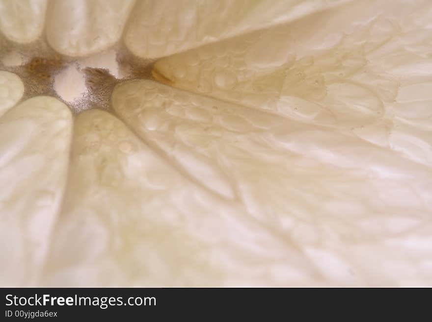 Lime Pulp Macro