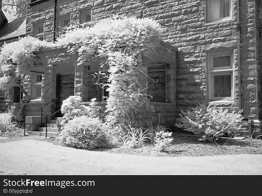 The infrared image of a church ground in a small town New Jersey