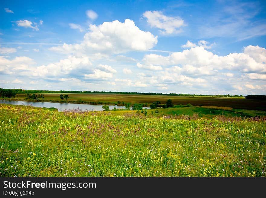 Summer landscape